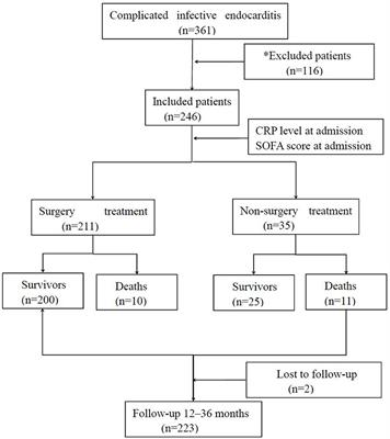 Accuracy and Prognosis Value of the Sequential Organ Failure Assessment Score Combined With C-Reactive Protein in Patients With Complicated Infective Endocarditis